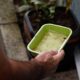 El Niño pode elevar incidência de chikungunya e dengue no Brasil
