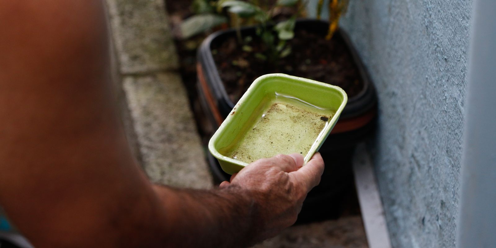 El Niño pode elevar incidência de chikungunya e dengue no Brasil