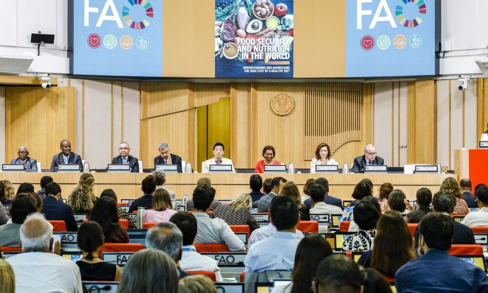 Brasil continua fora do Mapa da Fome, aponta relatório da ONU