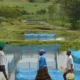 Estudo aponta crescimento de bactéria em aquicultura de peixes