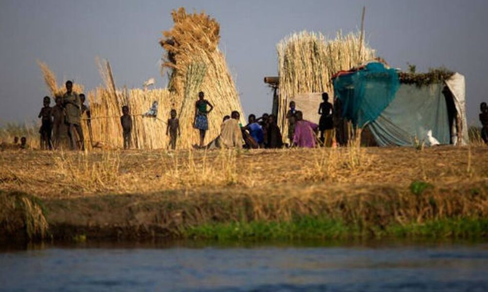 Relatório da ONU indica que 645 milhões de pessoas enfrentam fome no mundo